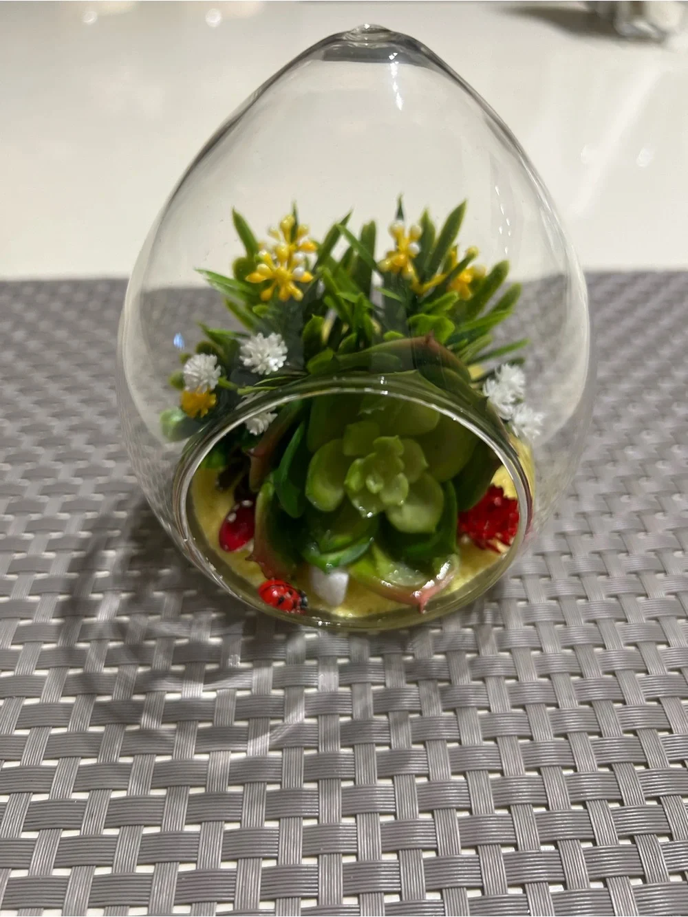 Glass Hanging Terrarium with Green Succulent and Yellow Blooms